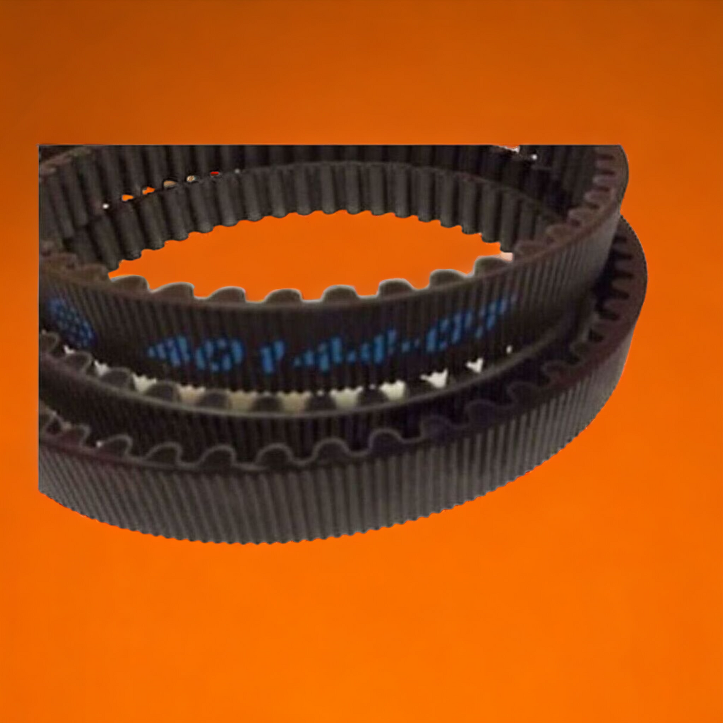 Vrod 151T Rear Drive Belt Genuine Harley Part Part Number 40144-07