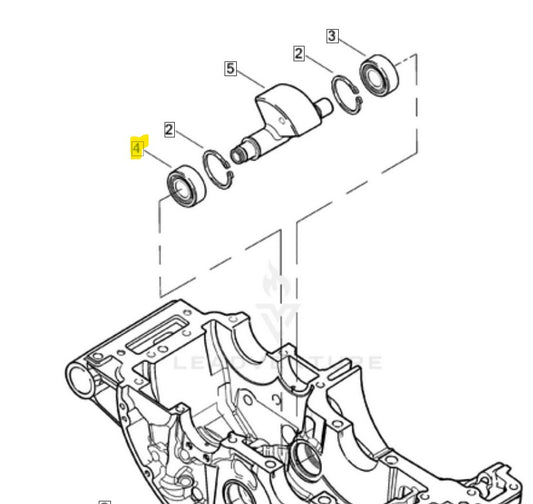 Vrod Roller Bearing (right) Genuine Harley Davidson Parts